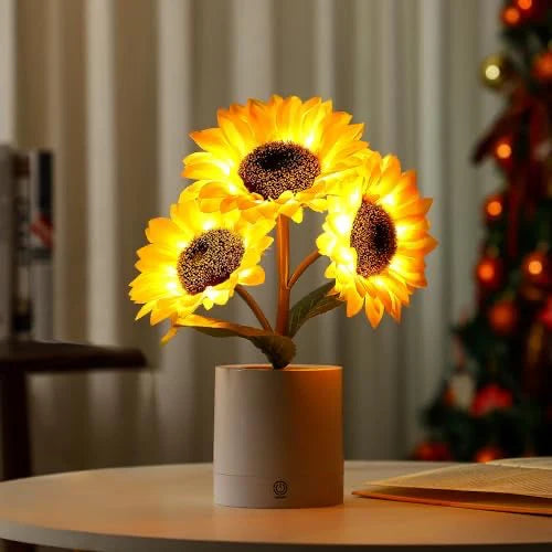 GoldenBloomX™ | Fange die Magie der Sonnenstrahlen in deinem Zuhause ein!